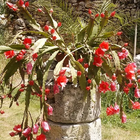 Le Clos Du Payen