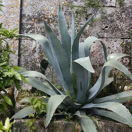 Le Clos Du Payen 브랑톰